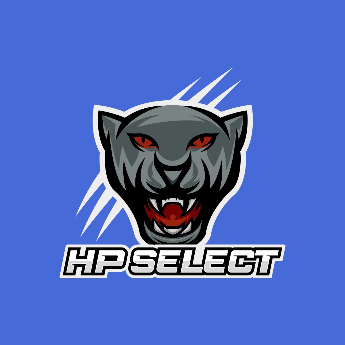 HP SELECT SPRING HOCKEY LEAGUE