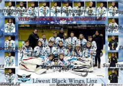 20181228v_liwest_black_wings_linz_2008.jpg